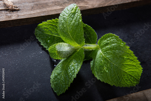 Fresh green mint leaves on chalkboard photo