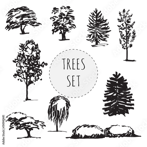 Set of different types hand drawn trees