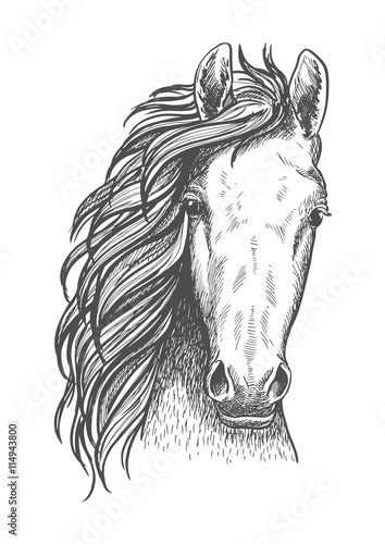 American wild west mustang sketch icon