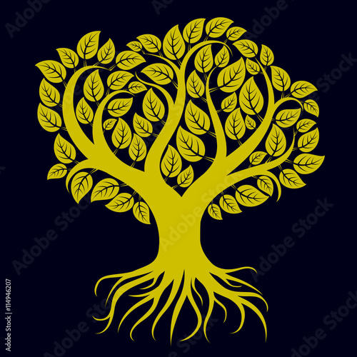 Vector art illustration of branchy tree with strong roots. Tree