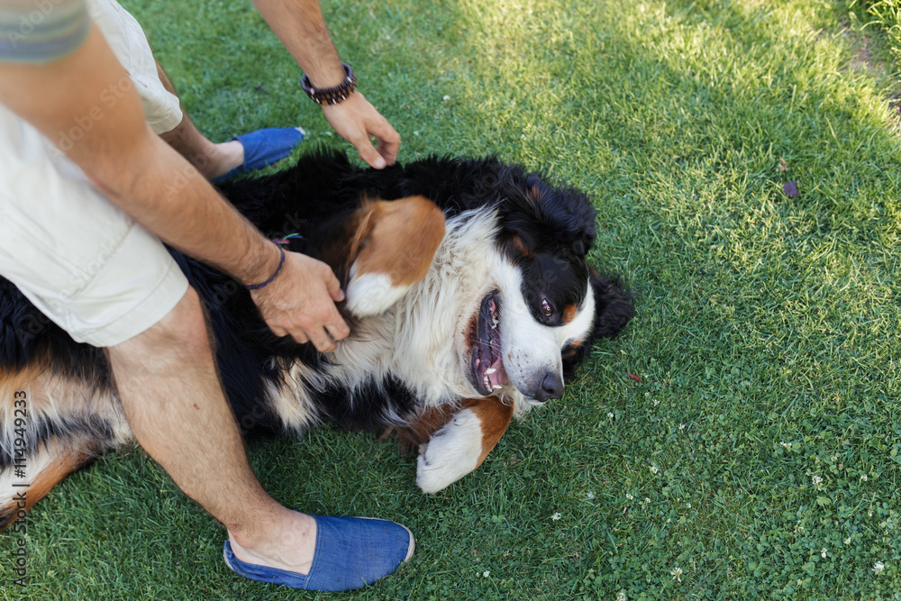 Man hugging a big black dog Man hugging a big black dog
