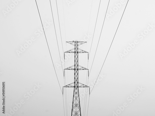 Electricity poles