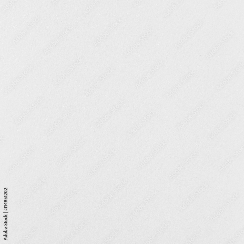 Fototapeta premium clean white paper texture