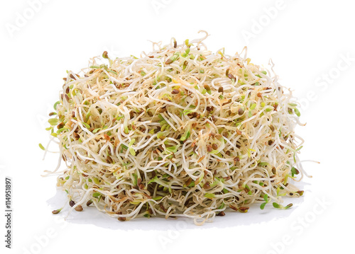 Sprouted alfalfa seeds isolate on a white background