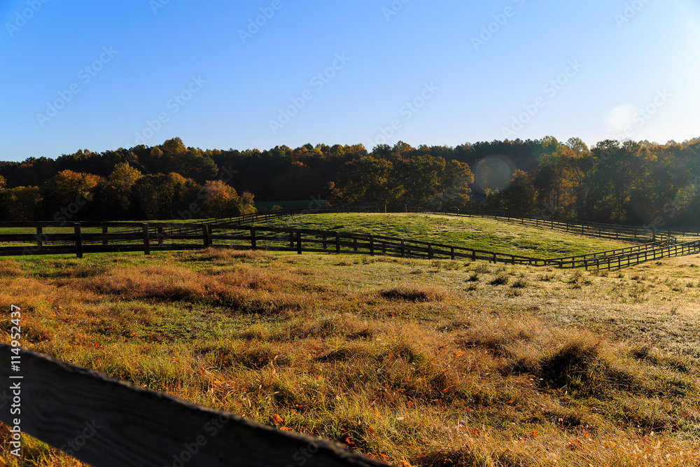 Obraz premium Fall horse farm in Northern Virginia