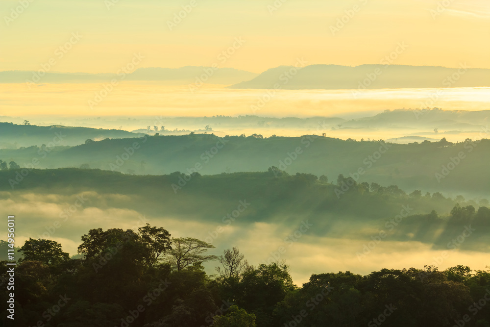 sunshine on the morning mist with tree and hill sunshine on the morning mist with tree and hill