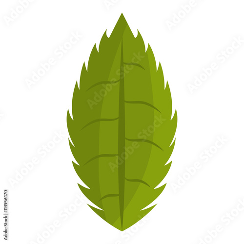 Green Leaf or leaves eco theme design  vector illustration icon.