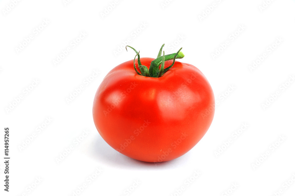 single fresh tomato isolated on white background single fresh tomato isolated on white background