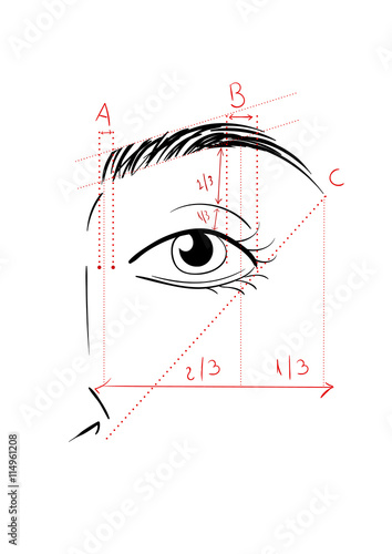 Shaping The Eyebrows
