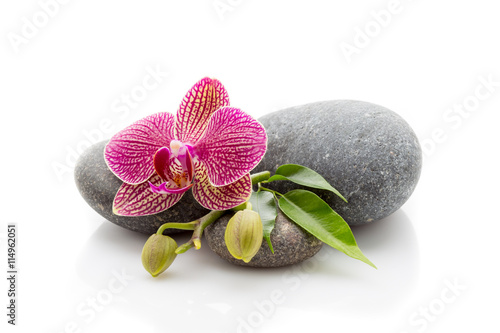Spa stones