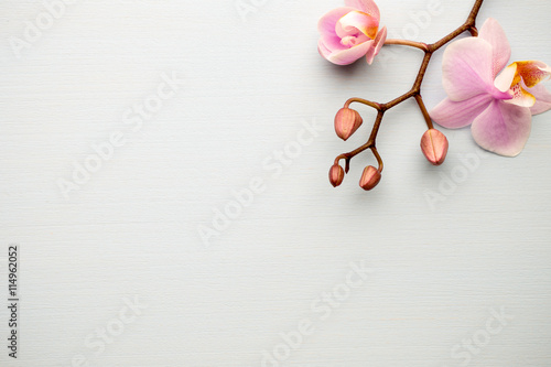 Fototapeta Naklejka Na Ścianę i Meble -  Spa.