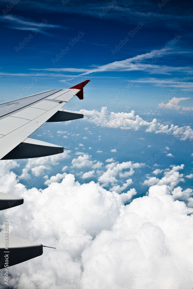 Fototapeta premium airplane wings