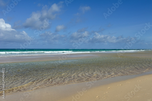 Summer beach and ocean