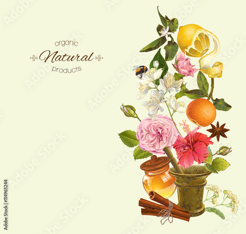 Vector vintage vertical banner with fruits, flowers and mortar. Design for tea, natural cosmetics, health care products. With place for text. 