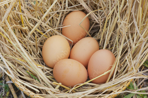 Horizontal photo of several hen eggs which are placed on nice haystack from dried straws and inside wicker basket. Light wooden wall is in background..