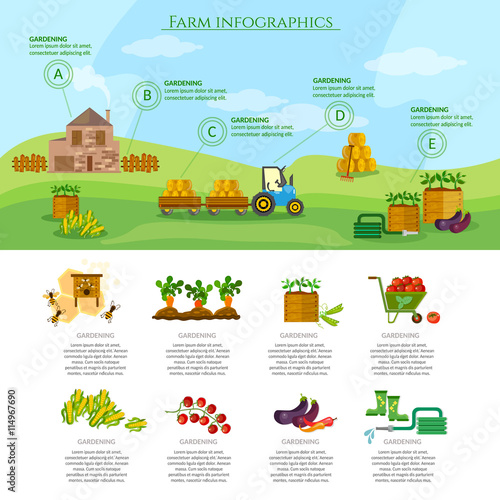 Farm infographics set natural food agricultural objects farming