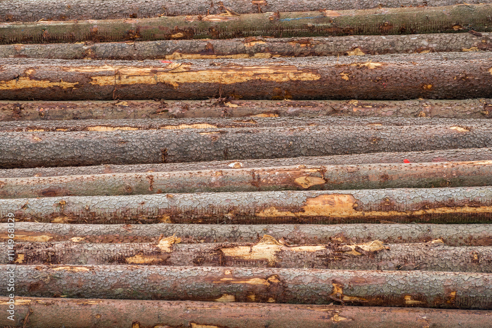Tree trunk cut lumber log bark side horizontal stack Tree trunk cut lumber log bark side horizontal stack