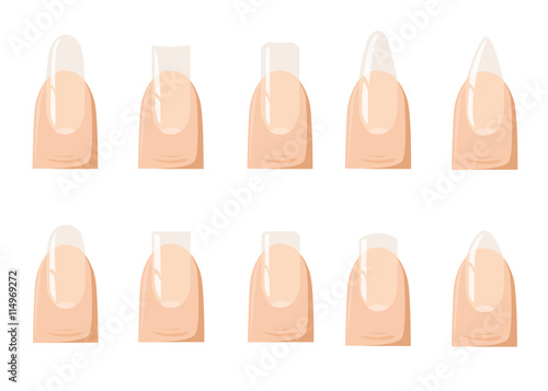 Types of fashion Different nail shapes - Fingernails fashion Vector illustration.