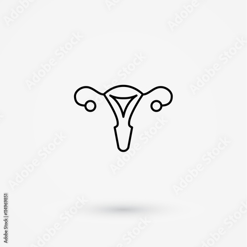 Vector uterus outline icon
