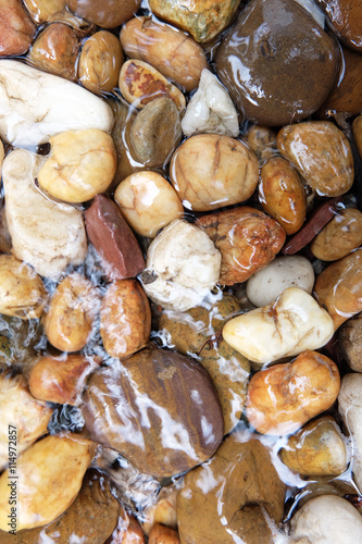 Принти на полотні Round stones in a mountain river background.