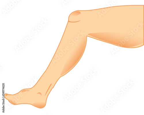 Leg of the person