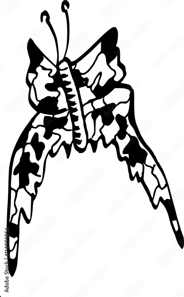 Inkttekening van vlinder Inkttekening van vlinder