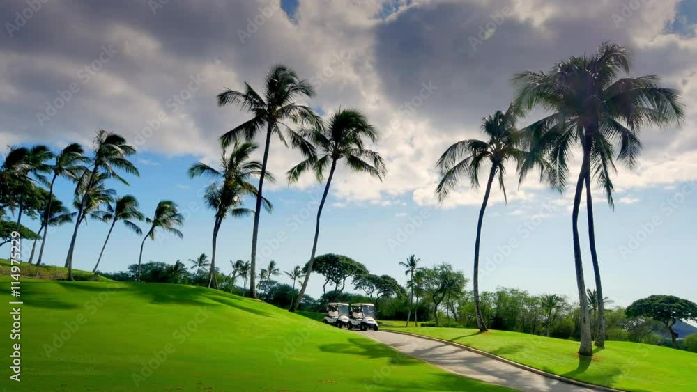 4K Clouds Over Palm Trees and Green Golf Course Landscape 4K Clouds Over Palm Trees and Green Golf Course Landscape