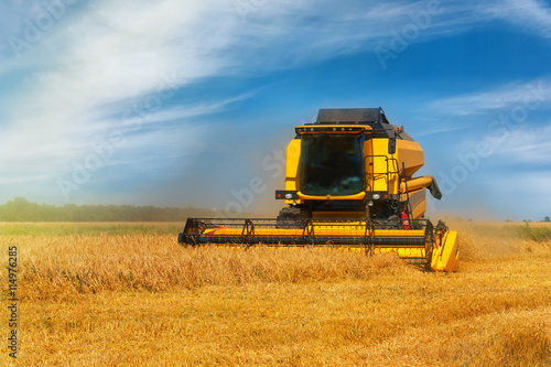 Combine harvester on a wheat field.