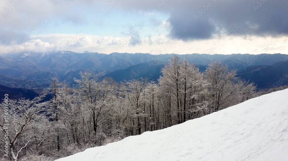 From one snow covered mountain slope, looking to a mountain range in the distance.  Beautiful white snow covered trees in the foreground contrast against the distant deep green trees.