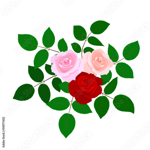 Rose flowers isolated on wh...