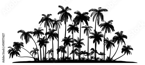 Group of palms Vector Silhouettes