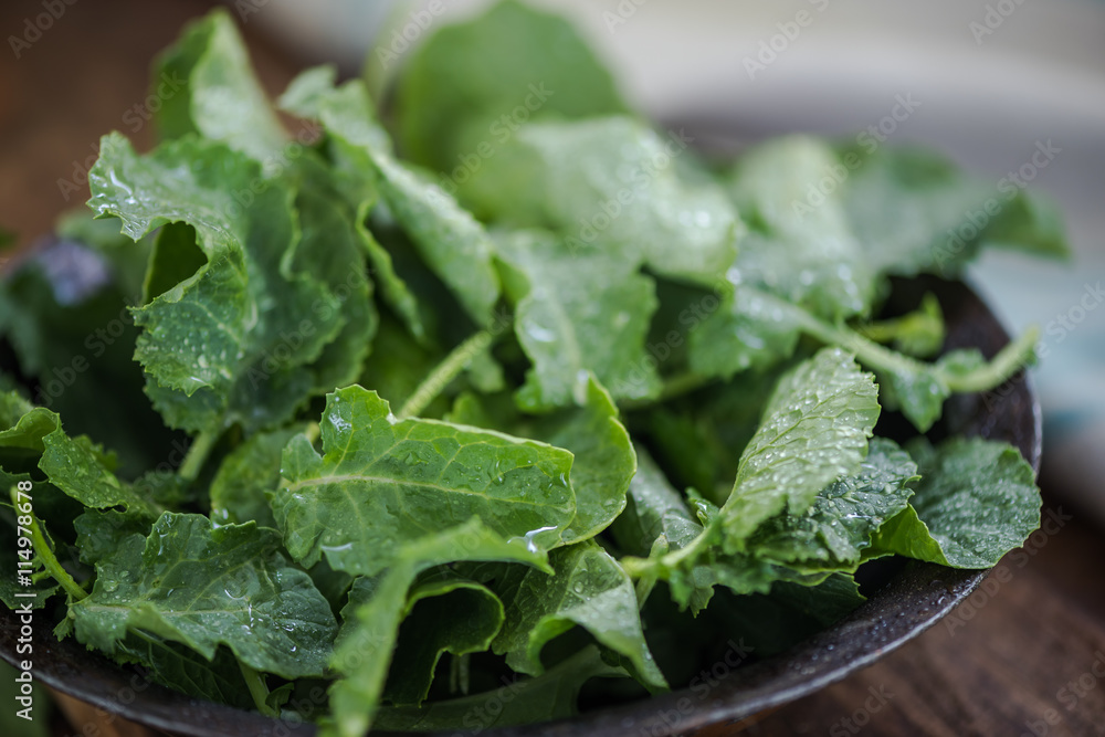 rustic bowl with fresh baby kale leaves rustic bowl with fresh baby kale leaves