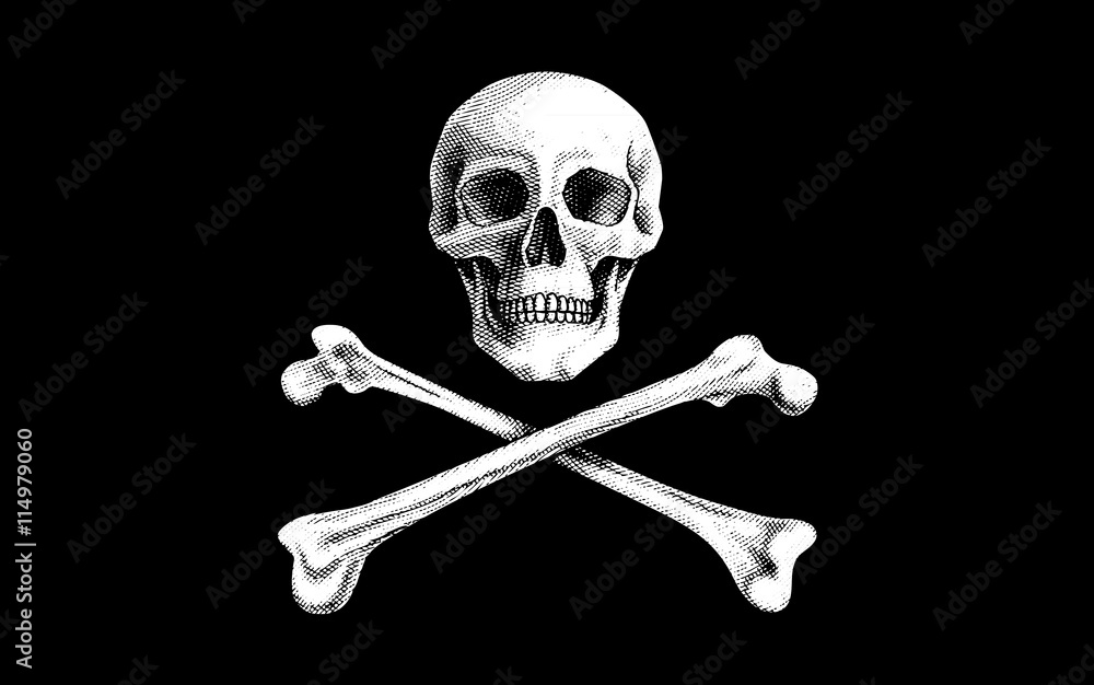 Vector Pirate Flag Vector Pirate Flag
