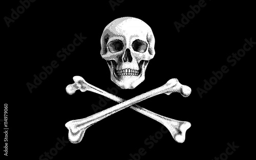 Vector Pirate Flag