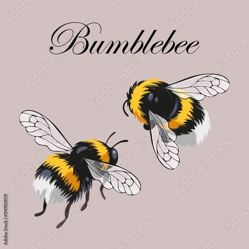 Fotobehang Set of bumblebees