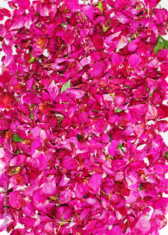 Background of dried pink rose petals.