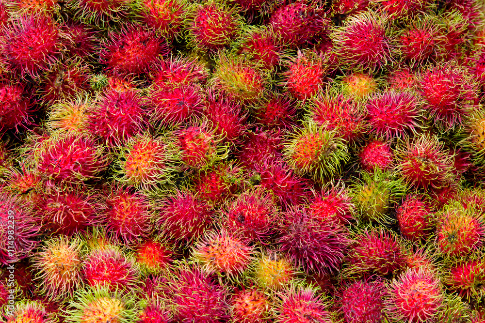 Rambutan - Tropical Fruits Rambutan Rambutan - Tropical Fruits Rambutan