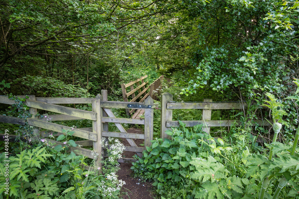Woodland trail at Weldon /  Close to Weldon Bridge in Northumberland, is a riverside, woodland walk, through this gate and footbridge