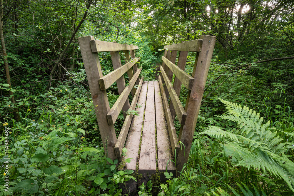Footbridge in woodland / Close to Weldon Bridge in Northumberland, is a