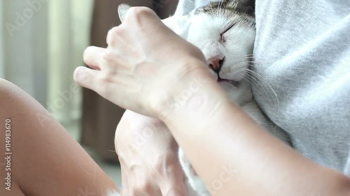 Wallpaper Mural Close-up Woman Cleaning Of Cat Eyes. Torontodigital.ca