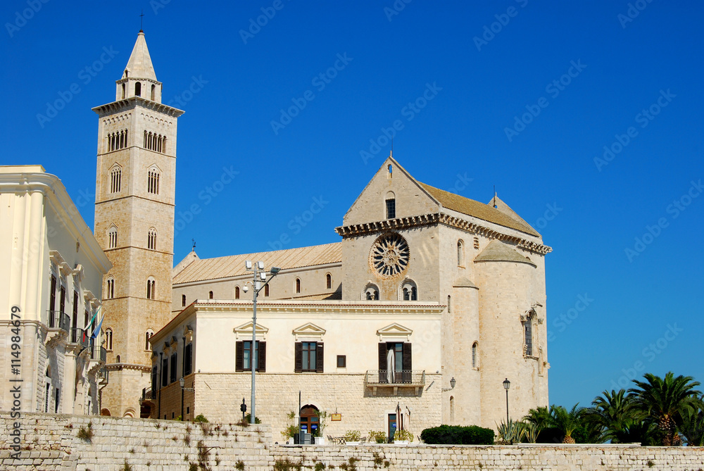Fototapeta premium View of the Romanesque church of Trani in Apulia - Italy