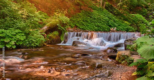 Pylypets River near the Shypit Waterfall (Ukraine 2016) photo