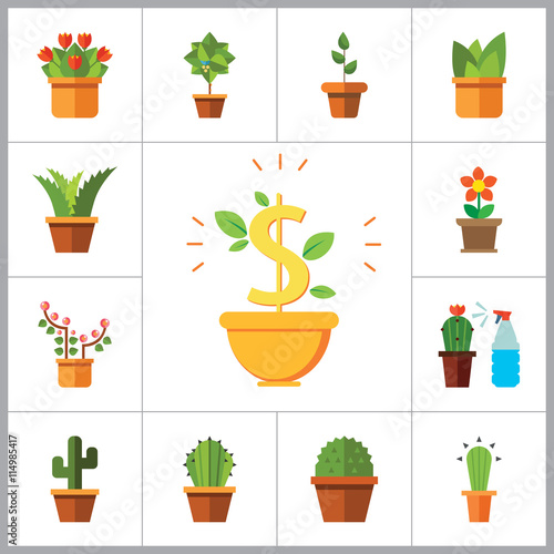 Potted Flowers Icon Set