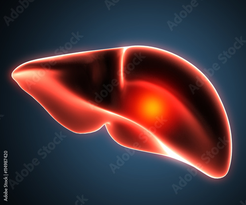 Obraz na płótnie liver disease human anatomy