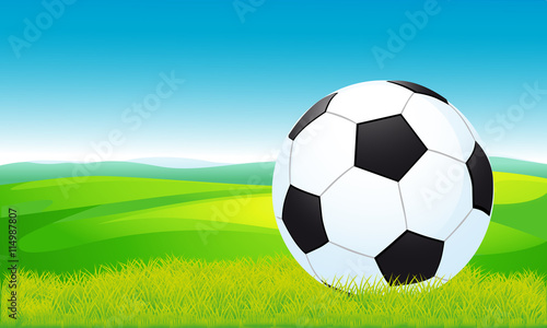soccer ball lying on the grass - vector illustration