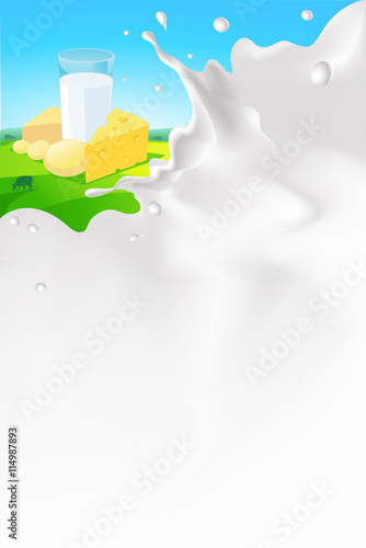 vector white splash milk illustration background with cheese and glass of milk in nature