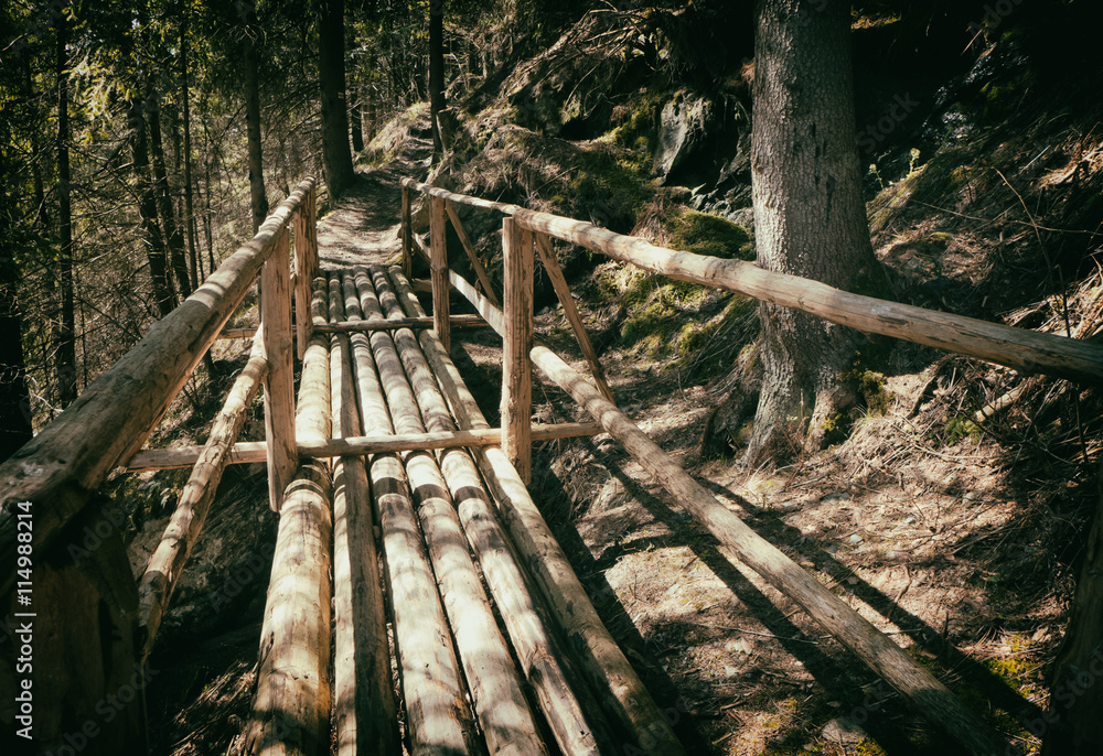 Footbridge in forest