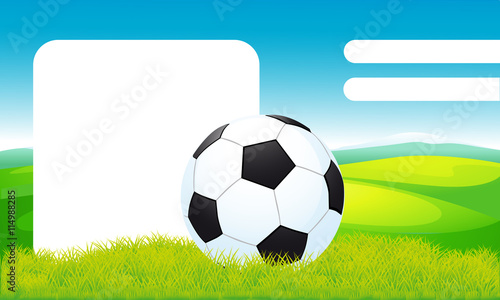 soccer ball lying on the grass  frame design - vector illustration