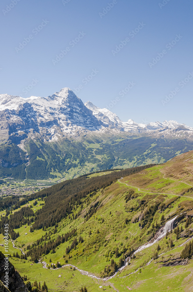 Grindelwald, Alpen, Eiger, Eigernordwand, First, Waldspitz, Wanderweg, Mönch, Jungfrau, Sommer, Schweiz