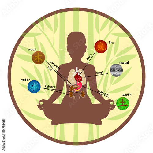 Five elements and human organs
